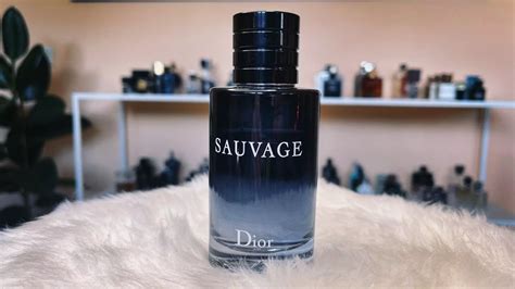 sauvage dior reseña|fragrances like Dior Sauvage.